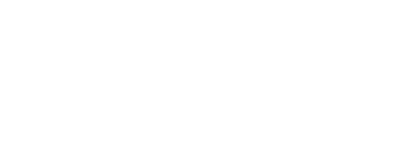Naish Infotech